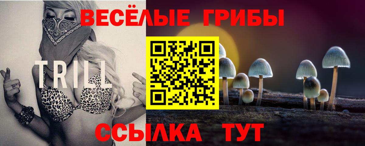 Псилоцибиновые грибы Psilocybe Нефтекумск
