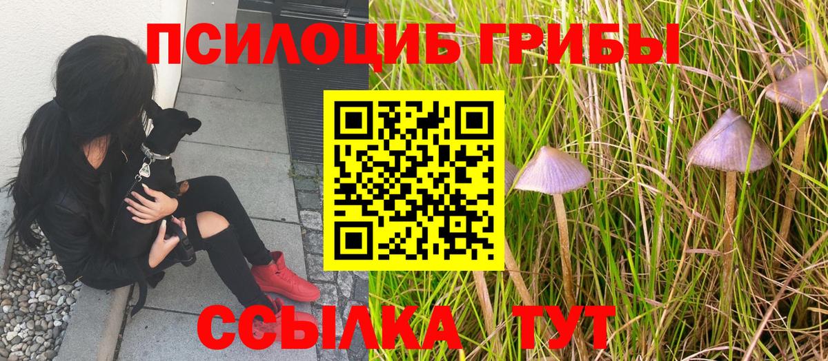 Альфа ПВП Нефтекумск